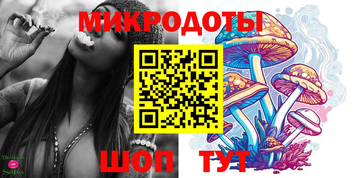 магазин продажи наркотиков  Галлюциногенные грибы GOLDEN TEACHER  Вход с VPN  Алексеевка 